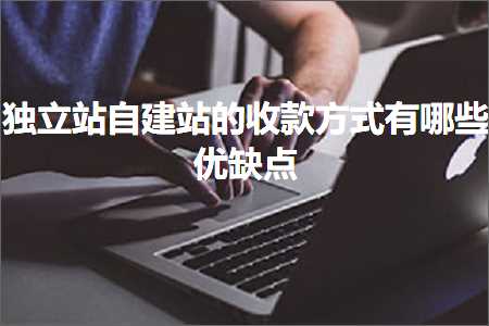 璺ㄥ鐢靛晢鐭ヨ瘑:鐙珛绔欒嚜寤虹珯鐨勬敹娆炬柟寮忔湁鍝簺浼樼己鐐? width=