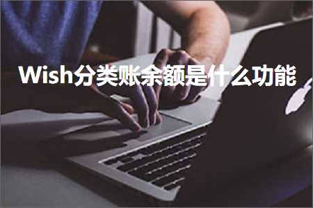 跨境电商知识:Wish分类账余额是什么功能